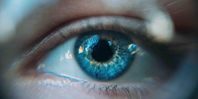 Betekenis eye light Wat is eye light?