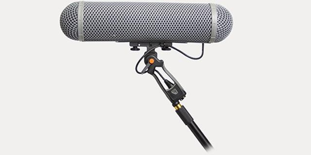 Zo ziet een boompole er uit