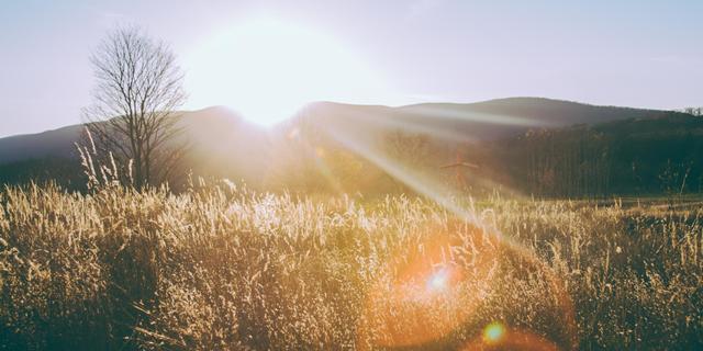 Lens flare Lens flare effect