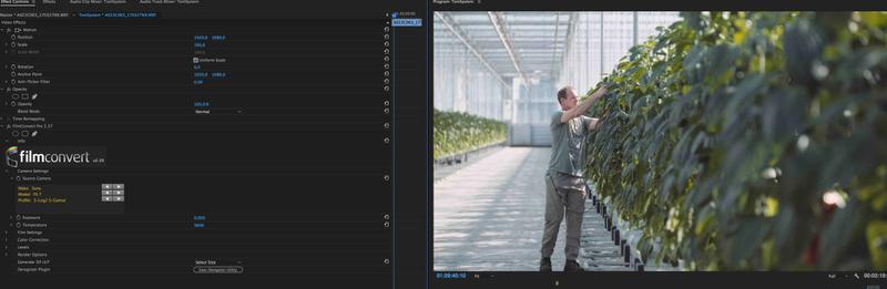 Kleurcorrectie in Adobe Premiere